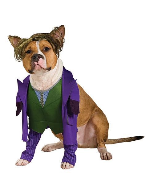 dog costumes joker|joker costume for dogs.